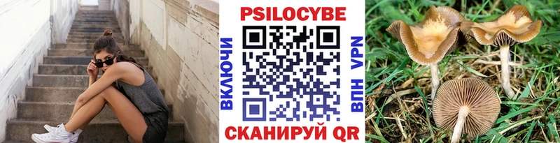 Псилоцибиновые грибы мицелий Ликино-Дулёво